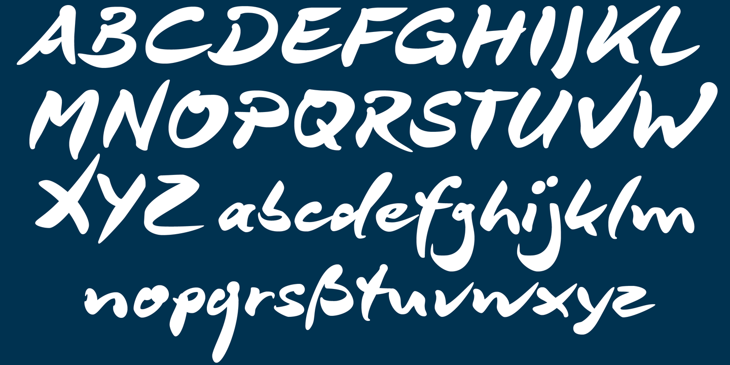 DeBorstel Brush Pro